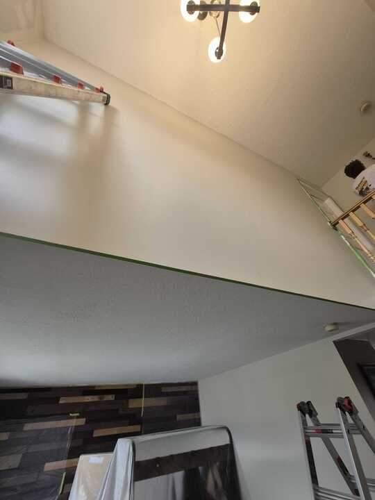 Ceiling Repaint