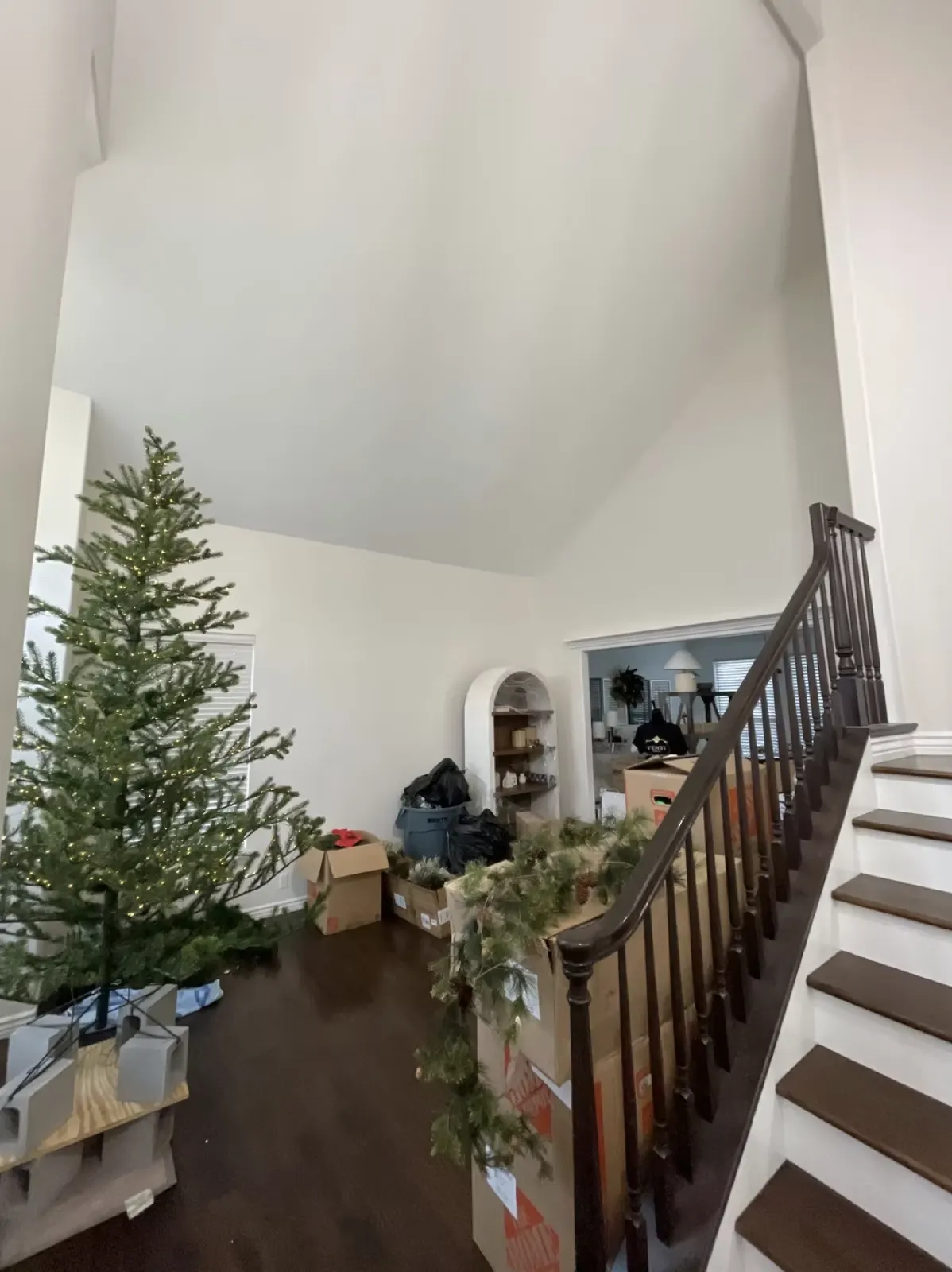 Living Room and Ceiling Repaint